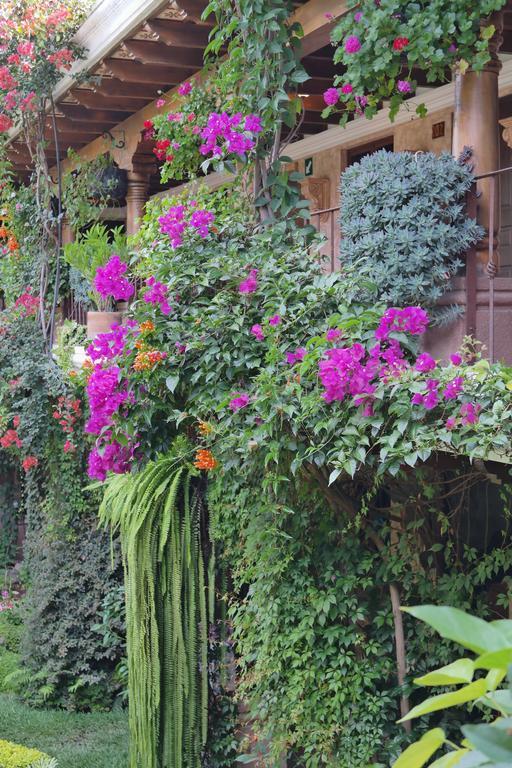 Hotel Genessis Antigua Ngoại thất bức ảnh